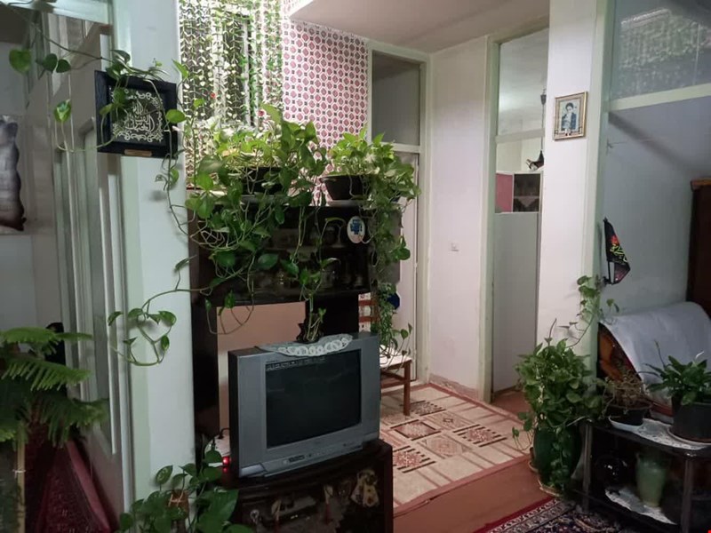 ولی زاده 
